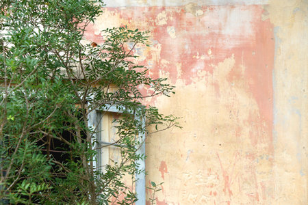 Plants in a Mediterranean garden. Selective focus.