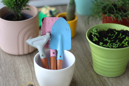 Houseplants, flower pots and mini gardening equipment. Urban gardening at home or on the balcony....