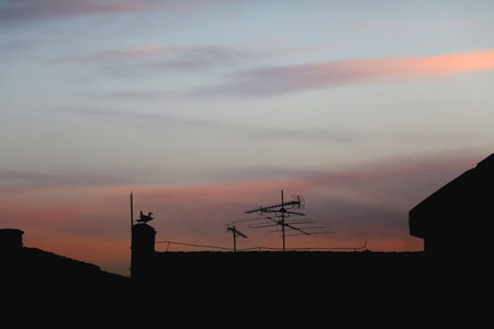View of beautiful colorful sunset sky.の写真素材