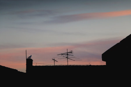 View of colorful sunset sky.の写真素材