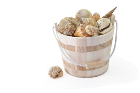 Wooden bucket of seashellsの写真素材