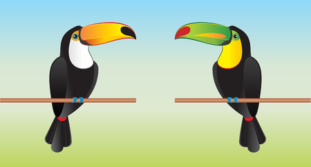 Toucans with different beaksのイラスト素材