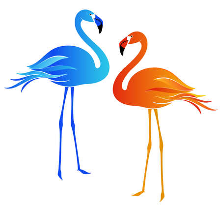 Flamingosのイラスト素材