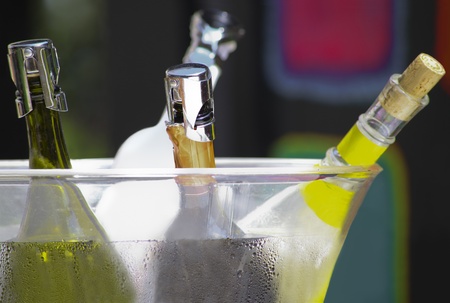 Four wine bottles in a bucketの写真素材