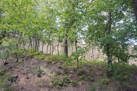 Petrin hill public park wall, trees and shades on a nice summer day in Prague, Czech Republicの写真素材