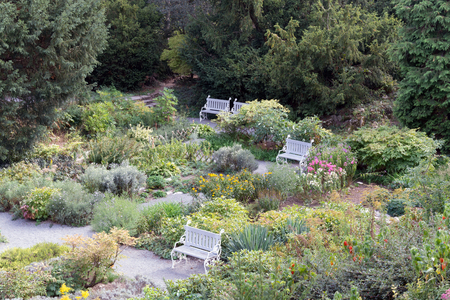 Petrin hill public park benches, garden,trees and shades on a nice summer day in Prague, Czech Republicの写真素材