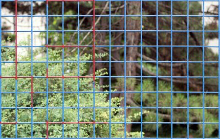 Public park playground blue metal net fence, partially painted red, against the green park trees