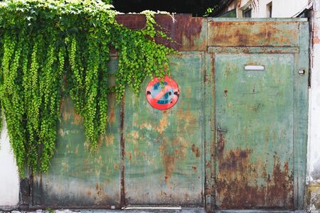 No parking warning street traffic sign on green old weathered rusty metal gate with leafy vine plant