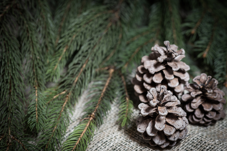 Close-up view of a pine cone with branches, Christmas and New Year holidays conceptの写真素材