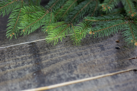 Christmas tree branches on wooden texture. Winter holidays backgroundの写真素材