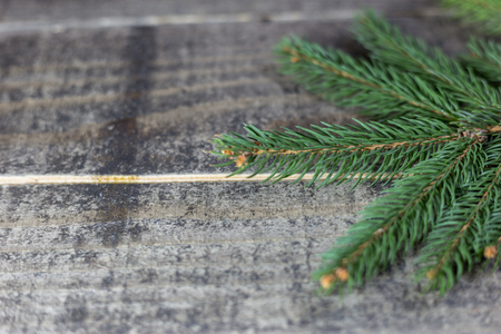 Christmas tree branches on wooden texture. Winter holidays background.の写真素材