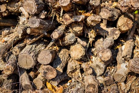 Close-up view of pile of chopped firewood prepared for winter. Textured background.