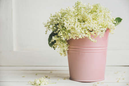Bucket with elderflower on a wooden table, close-up view. Spring flowers concept. Empty space on the left side.の写真素材
