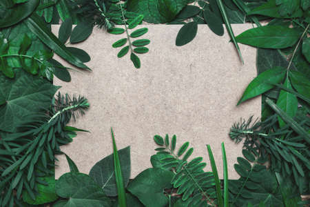 Creative layout made of different natural leaves and blank paper card for text. Flat lay, copy...