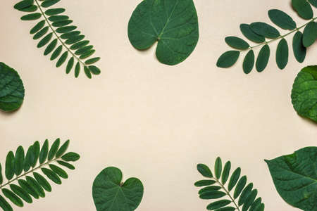 Creative layout made of different natural leaves on beige background with space for text. Nature...