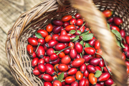 Fresh ripe rose hips in basket on the rustic background, close-up photo. Healthy nutrition concept.の写真素材