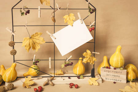 Autumn composition with dried leaves, berries, pumpkins and blank text label. Autumn, fall, winter...