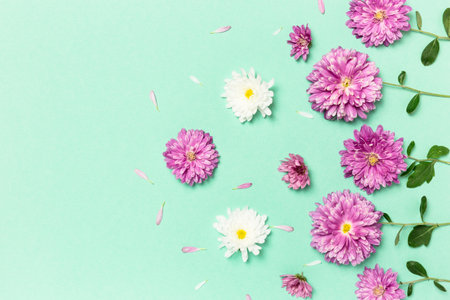 Flowers composition. Creative layout made with violet and white flowers on pastel green background. Flat lay. Spring minimal concept.の写真素材