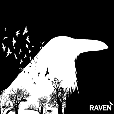 Vector illustration of the white raven head silhouette with the fluttering wings on a black background Double exposure effect. のイラスト素材