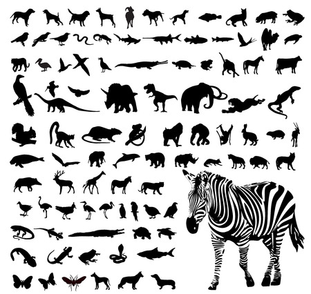 Vector illustration of animals silhouettesの素材 [FY31024592495]