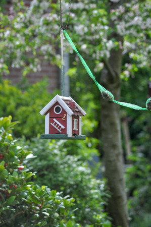 Birdhouse in the backyard fat bulbs bird feed birds mobile portraitの写真素材