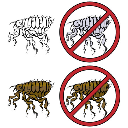No Fleas Prohibition Signのイラスト素材