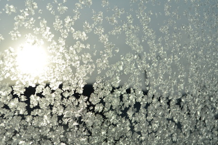 Frozen Ornaments on the Window Glassの写真素材