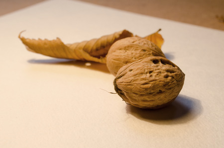 Autumn harvest walnuts and dry leaves