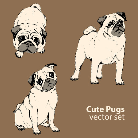 Cute pugs vector setのイラスト素材