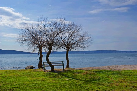 Bench and three leafless trees on a beach.の写真素材