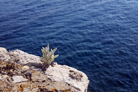 View from the town walls in Dubrovnik, Croatia.の写真素材