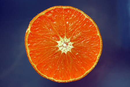 Orange half on a blue background.の写真素材