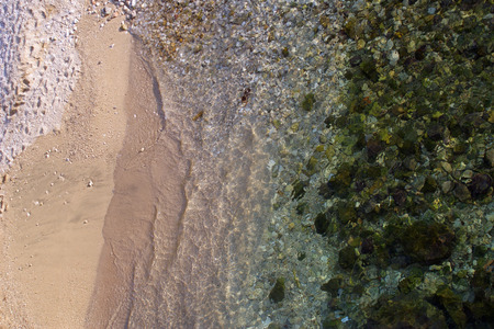 Green algae covering sea bottom near Dubrovnik harbour.の写真素材