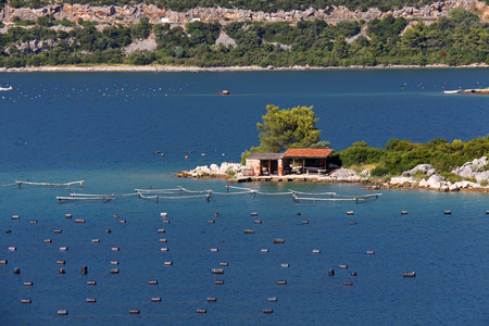 Buoys from a fish hatchery near Dubrovnik, Croatia.の写真素材