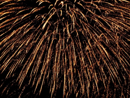 A bright firework expanding the sky.の写真素材