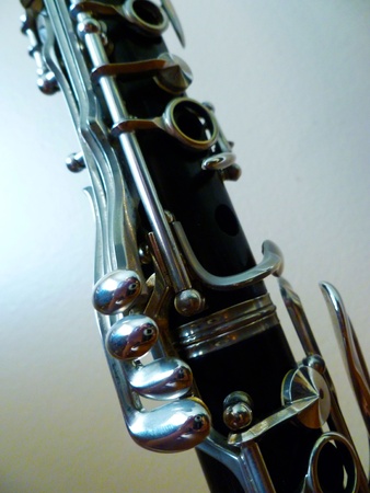 A view of the side trill keys.の写真素材