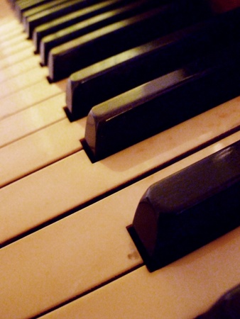 A diagonal view of the piano keys.の写真素材