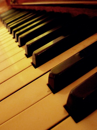 A lengthened view of the piano keys.の写真素材