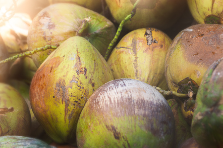 Tropical Yellow Coconutsの写真素材