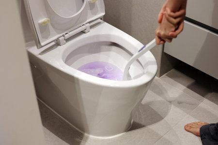 Clean out the toilet with toilet brush, cleaning the bedpanの写真素材
