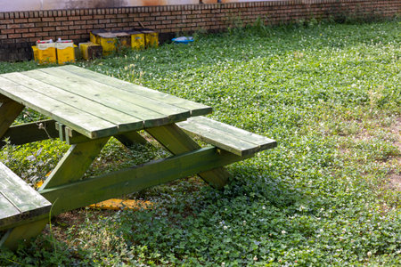 A green bench table in the clover gardenの写真素材