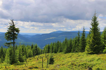 View of the Karkonosze (Giant Mountains) in summer. Lush green grasses and trees. Cloudy sky over the mountains in the Karkonosze National Parkの写真素材