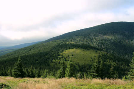 Karkonosze in the summer. View of the mountains covered with green trees. Thick clouds over the mountains. Karkonosze National Parkの写真素材