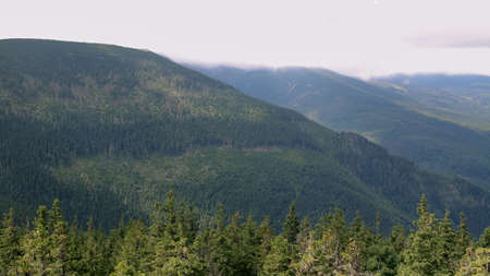Karkonosze in the summer. View of the mountains covered with green trees. Thick clouds over the mountains. Karkonosze National Parkの写真素材