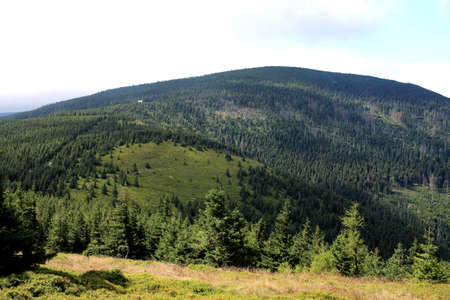 Karkonosze in the summer. View of the mountains covered with green trees. Thick clouds over the mountains. Karkonosze National Parkの写真素材