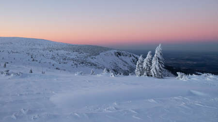 Sunset in the Karkonosze mountains in winter. Snow-covered mountains. Snow-covered trees. Pink sky
