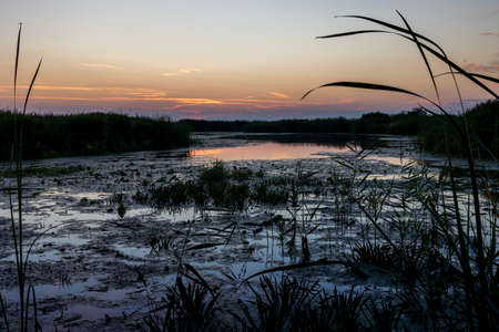 Sunset on the Narew River. Podlaski in Poland. Backwash river, sky in the backgroundの写真素材