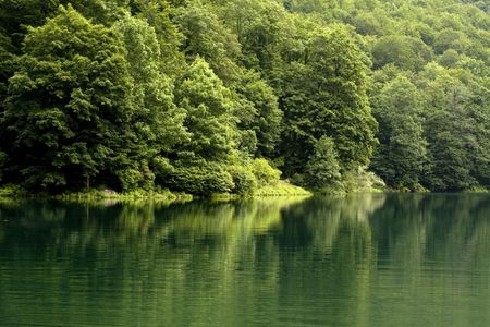 Lake and trees in the Reserve of Montenegroの写真素材