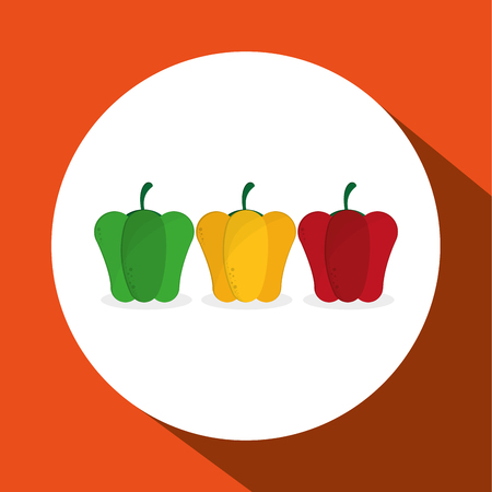 Organic shop concept with icon design, vector illustration 10 eps graphicのイラスト素材