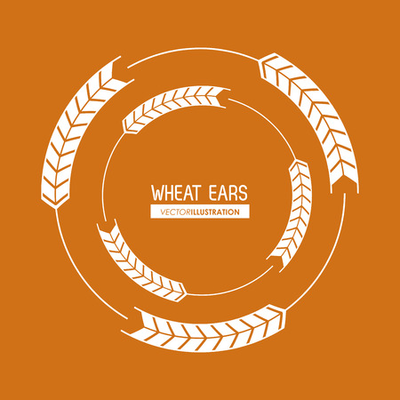 Wheat ears concept with icon design, vector illustration 10 eps graphic.のイラスト素材